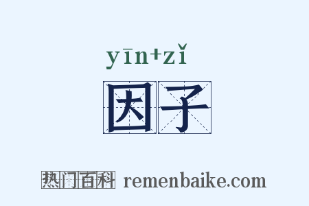 因子是什么意思的图片